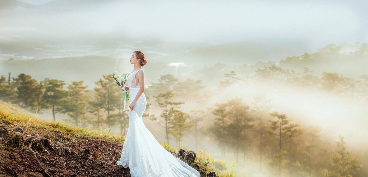 bride, wedding, wedding dress, forest, woods, haze, nature, dawn, bride, bride, bride, bride, wedding, wedding, wedding, wedding, wedding, wedding dress, wedding dress, wedding dress