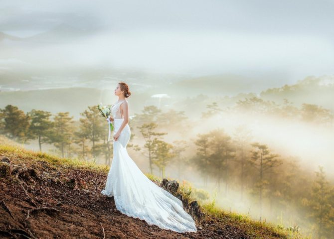 bride, wedding, wedding dress, forest, woods, haze, nature, dawn, bride, bride, bride, bride, wedding, wedding, wedding, wedding, wedding, wedding dress, wedding dress, wedding dress